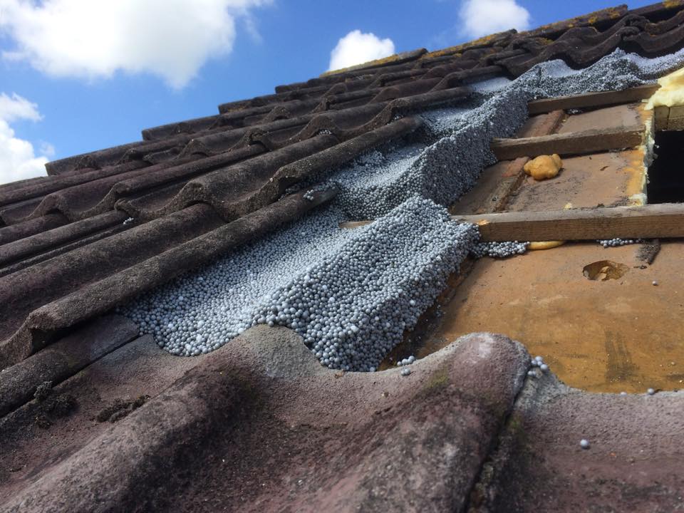 10988503_842511392508695_360373429489515081_n