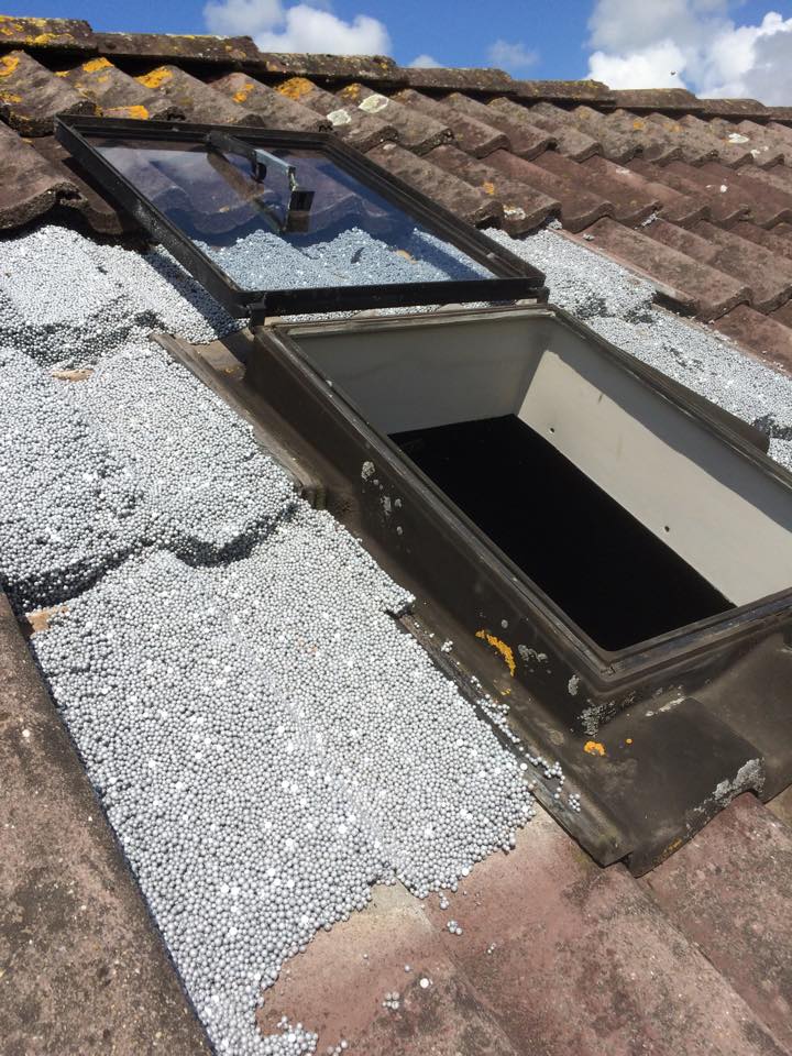 11181915_842511412508693_3162658568740967432_n