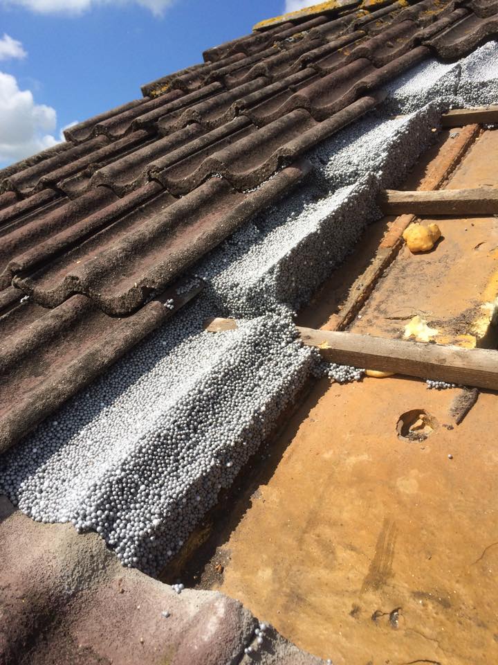 11264968_842511382508696_7230399430861422304_n