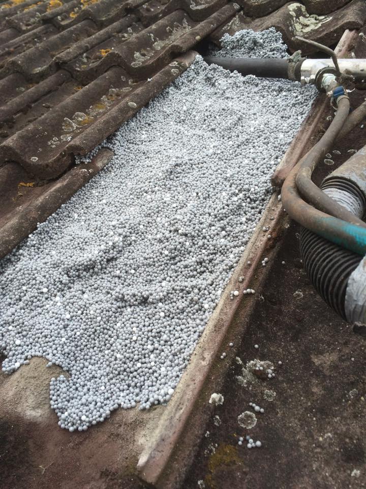 17636_842511429175358_1368203784036357576_n