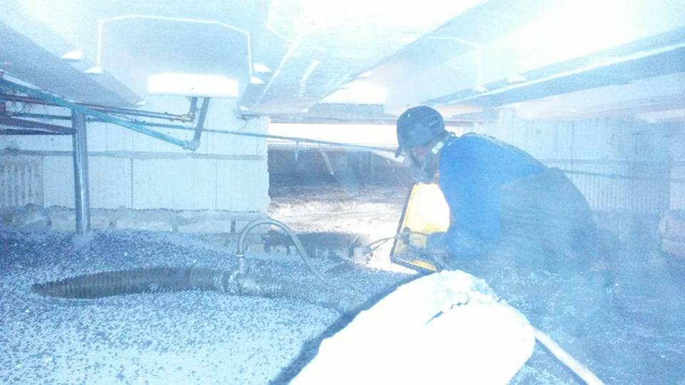 13592155_1062645340495298_1732075969238439812_n[1]