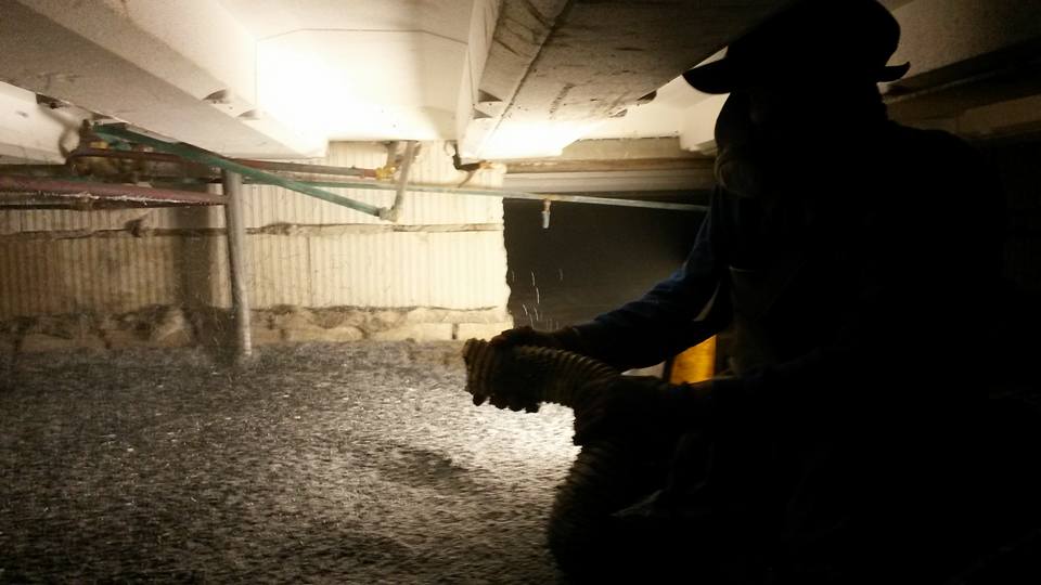 13606996_1062645317161967_4184253502683241860_n[1]